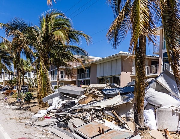 storm debris removal in tampa